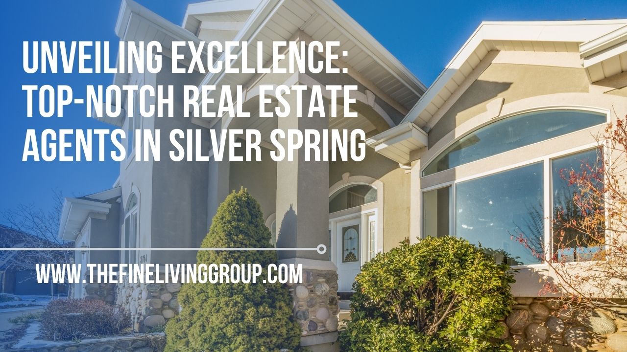 Unveiling Excellence Topnotch Real Estate Agents in Silver Spring